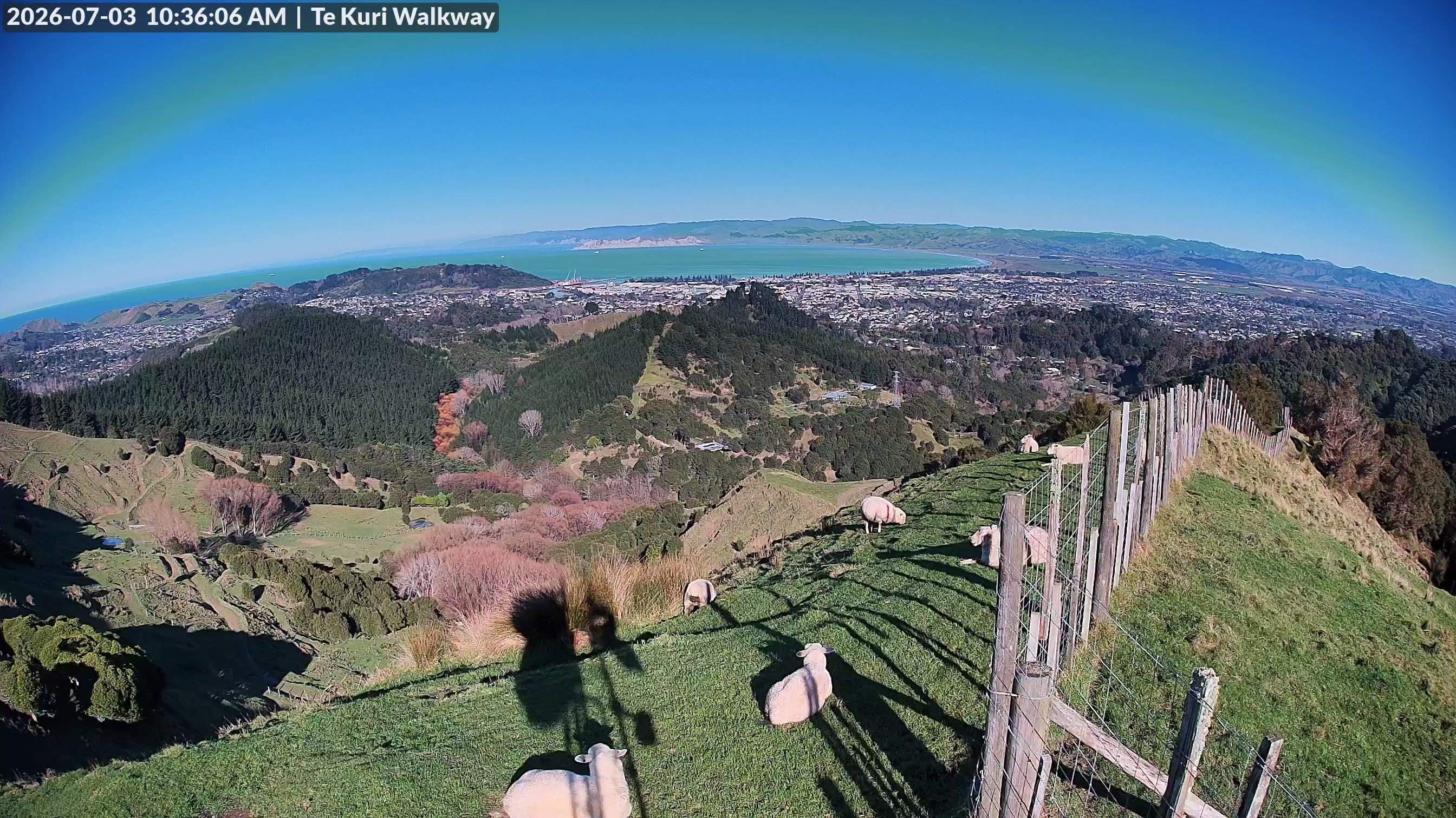 Te Kuri Walkway live webcam - Gisborne and the East Coast, New Zealand