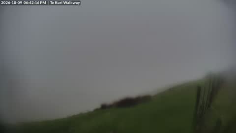 Te Kuri Walkway live webcam — Gisborne/Tairāwhiti, New Zealand
