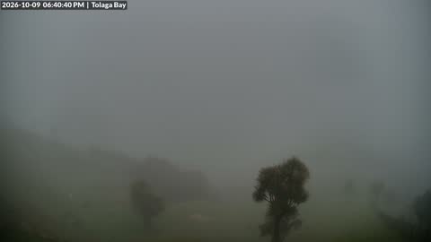 Tolaga Bay live webcam — East Coast, New Zealand