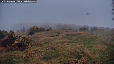 Whakapunake live webcam — Northern Hawke's Bay, New Zealand